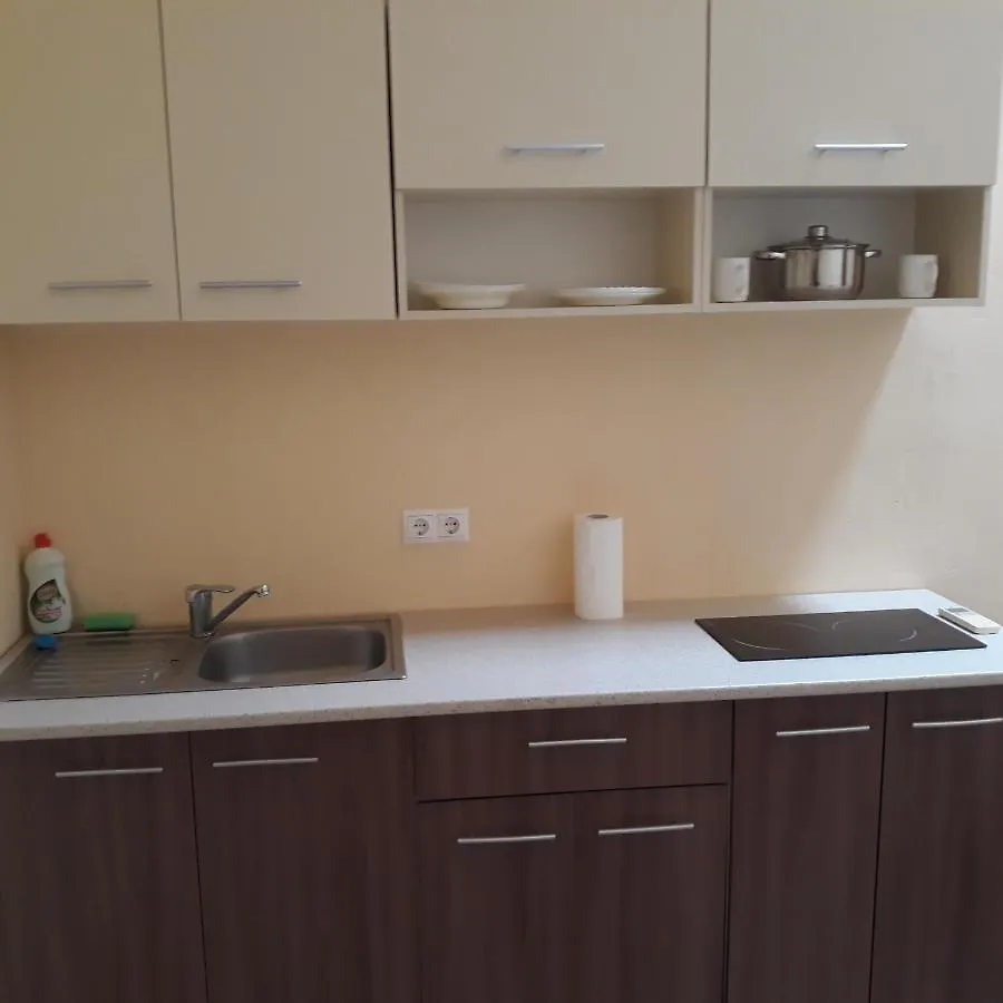 Velka Vasylkivska, 132,, Apartment Kyiv